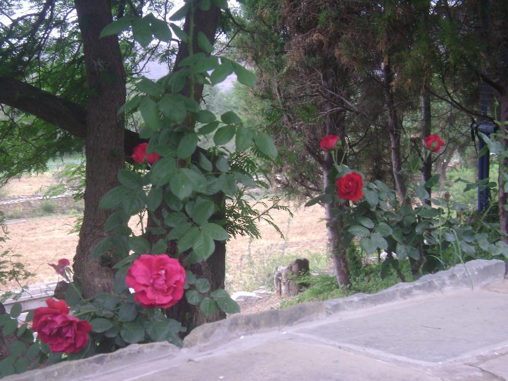La Pasarela Hotel Tarija Luaran gambar